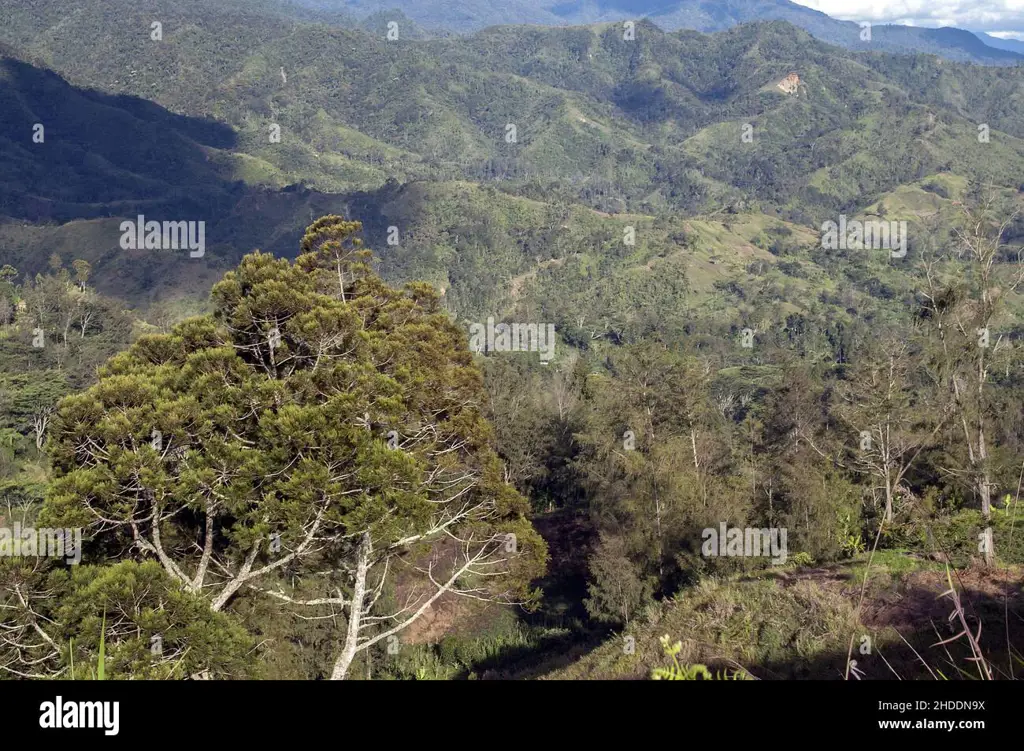 Pemandangan alam pegunungan di Papua