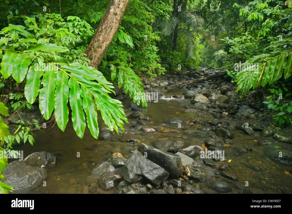 Pemandangan alam Sulawesi Tengah yang indah