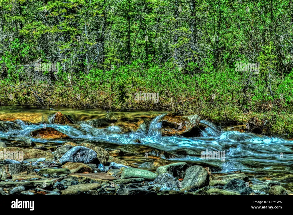 Pemandangan sungai yang indah dengan vegetasi hijau yang rimbun