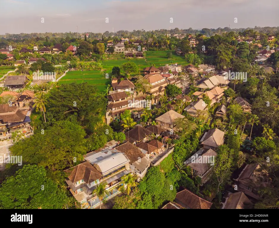 Pemandangan alam Ubud yang indah