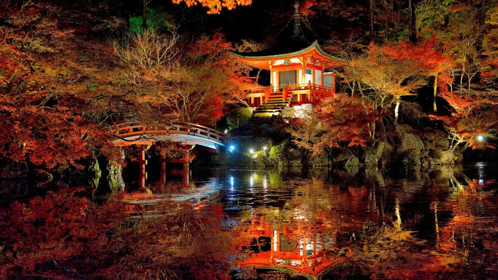 Pemandangan hutan di Jepang