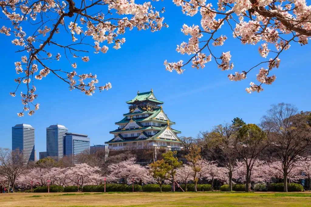 Pemandangan indah di Jepang