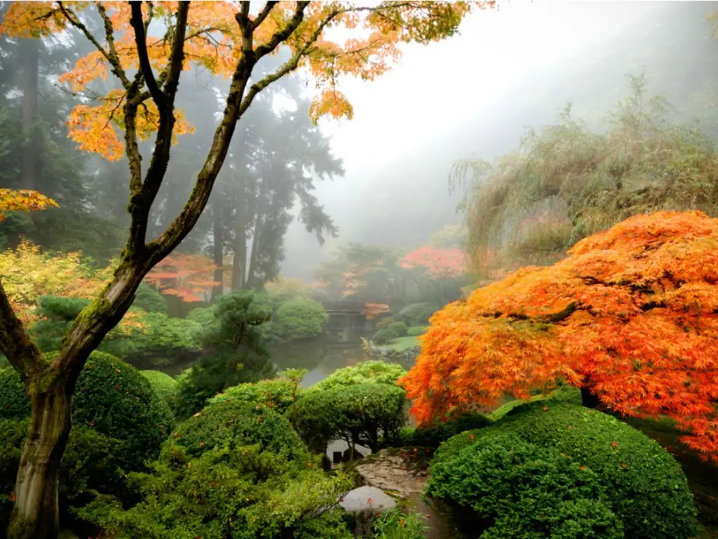 Taman Jepang yang tenang dan asri