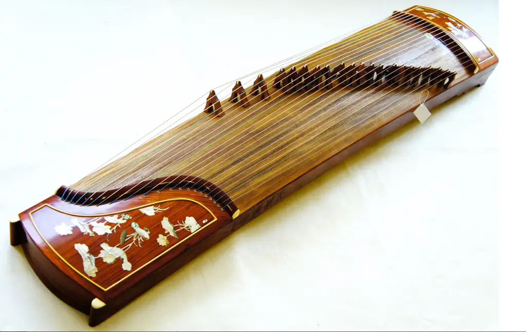 Gambar alat musik Koto yang indah.