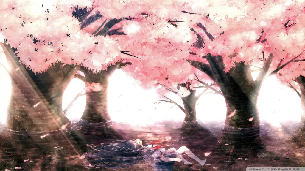 Pemandangan Anime dengan Bunga Sakura