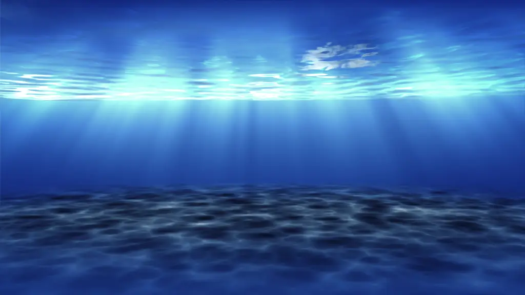 Keindahan bawah laut menambah daya tarik film ini Adegan bawah laut yang indah dan memukau dalam film Grand Blue Live Action