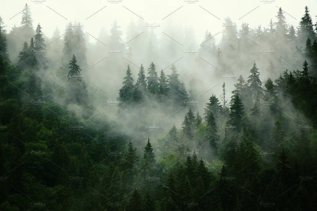 Pemandangan gunung berkabut yang indah