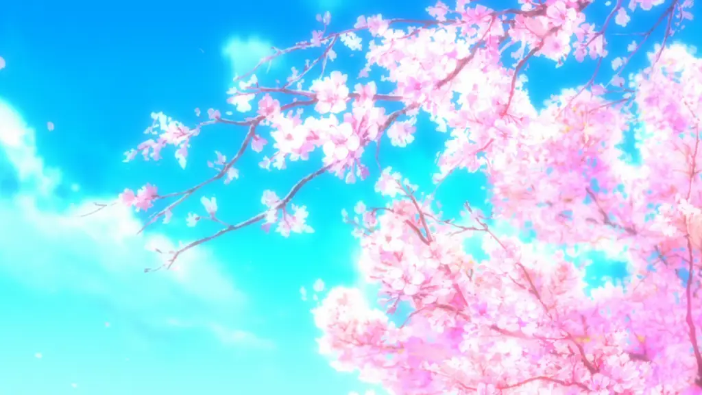 Wallpaper pemandangan bunga sakura anime HD