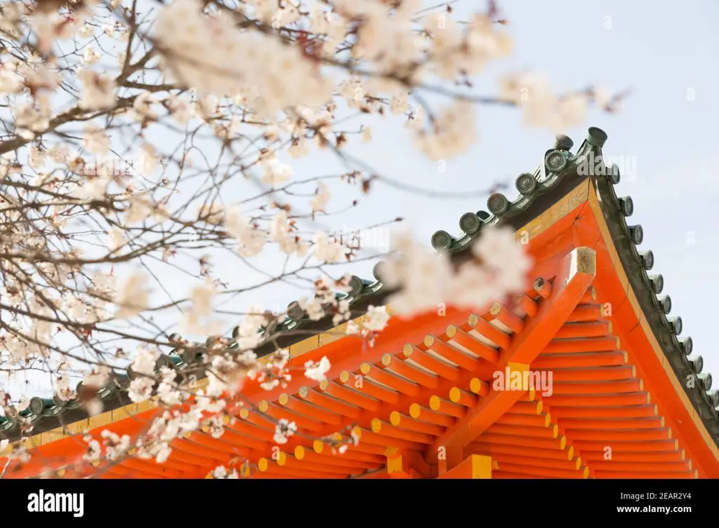 Foto bunga sakura yang sedang mekar di area kuil Meiji Jingu