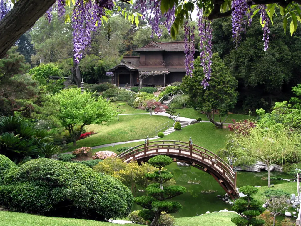 Taman Jepang yang indah dan romantis