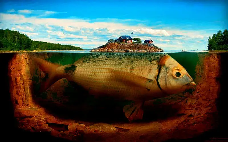 Hewan-hewan fantasi di pulau ajaib