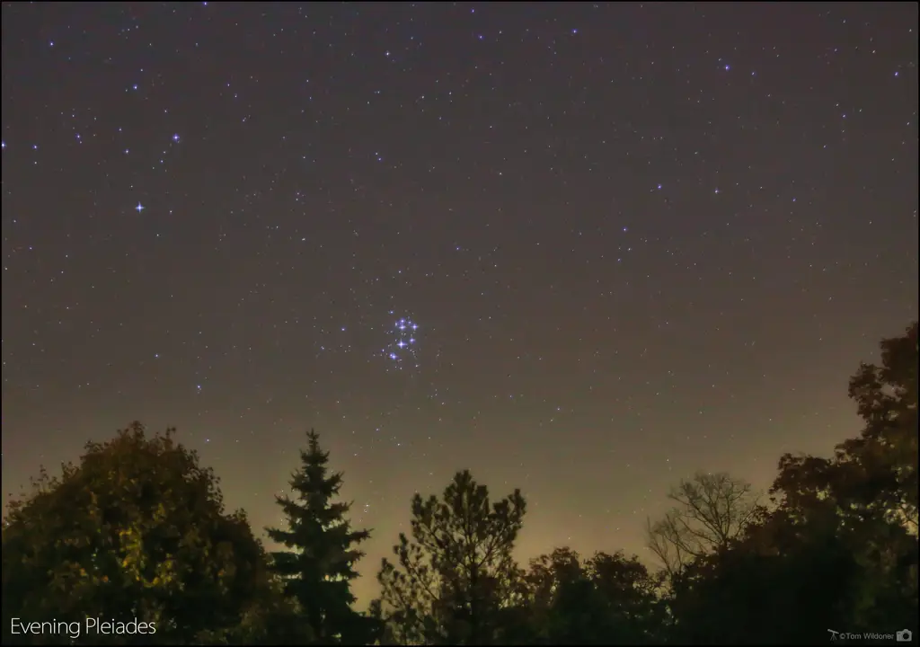 Gugusan bintang Pleiades di langit malam