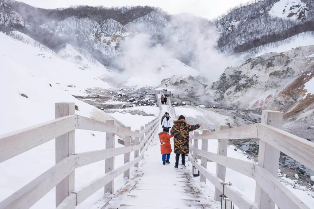 Gambar pemandangan musim dingin di Hokkaido dengan seorang perempuan