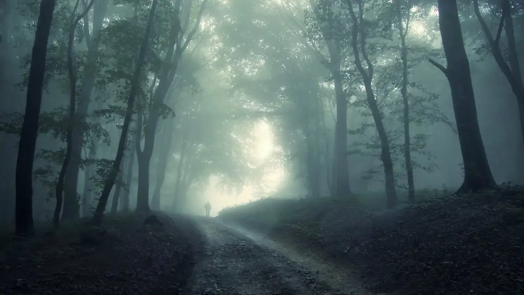 Hutan gelap yang misterius