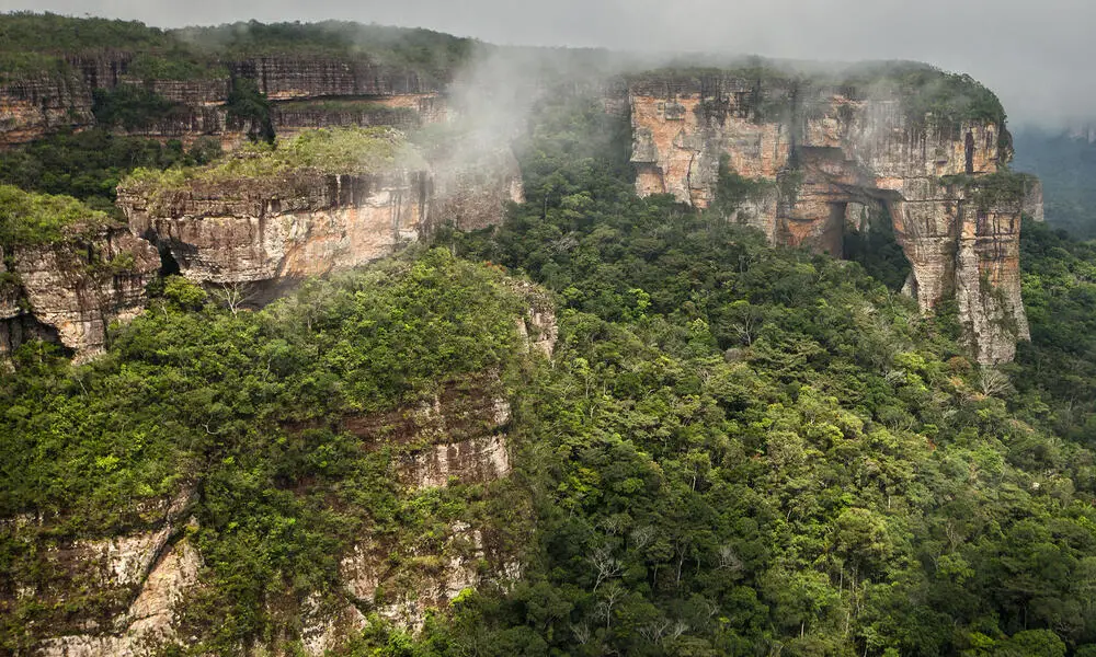 Hutan hujan Kamboja