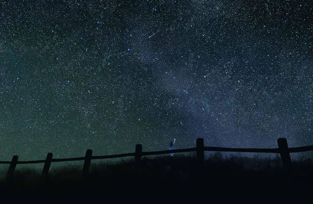 Langit malam yang dipenuhi bintang