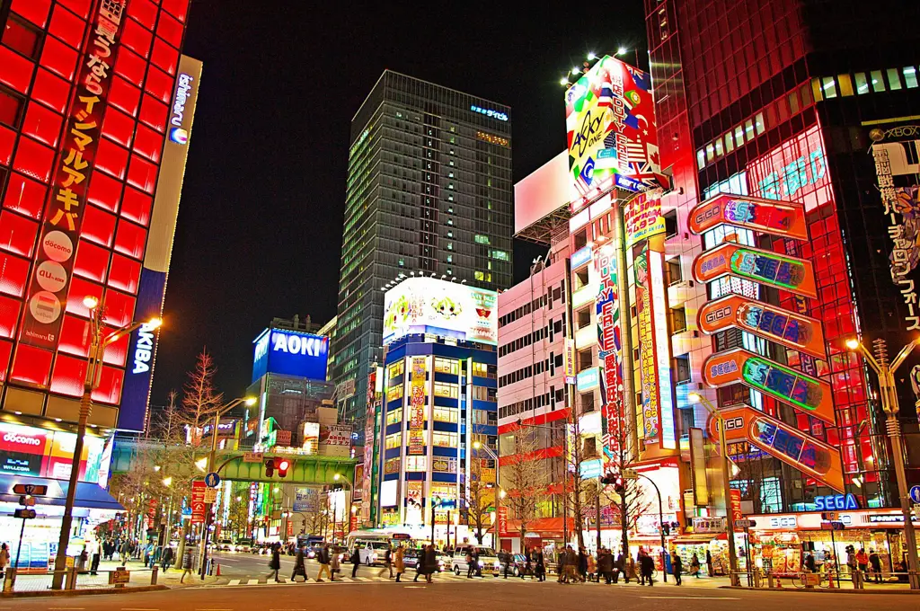 Pemandangan malam kota Akihabara yang ramai dengan toko-toko elektronik