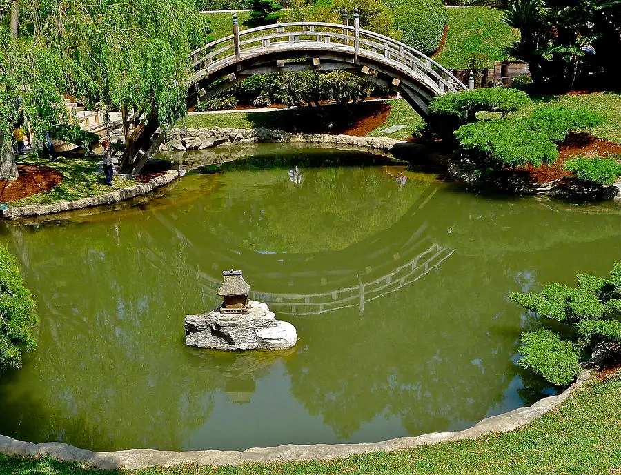 Taman Jepang yang tenang dan damai