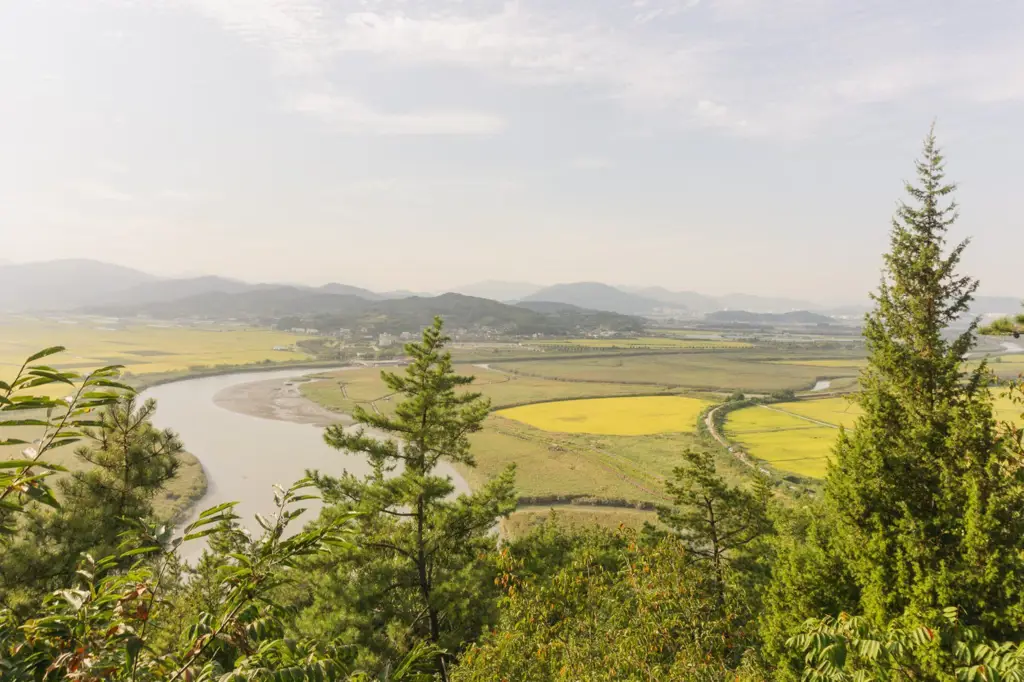 Pemandangan pedesaan Korea Selatan di musim dingin