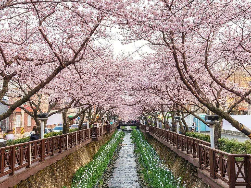 Pemandangan indah di Korea Selatan yang identik dengan musim panas.