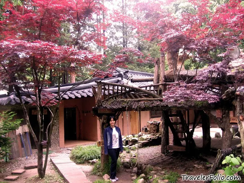 Pemandangan indah Nami Island yang menjadi lokasi syuting Winter Sonata