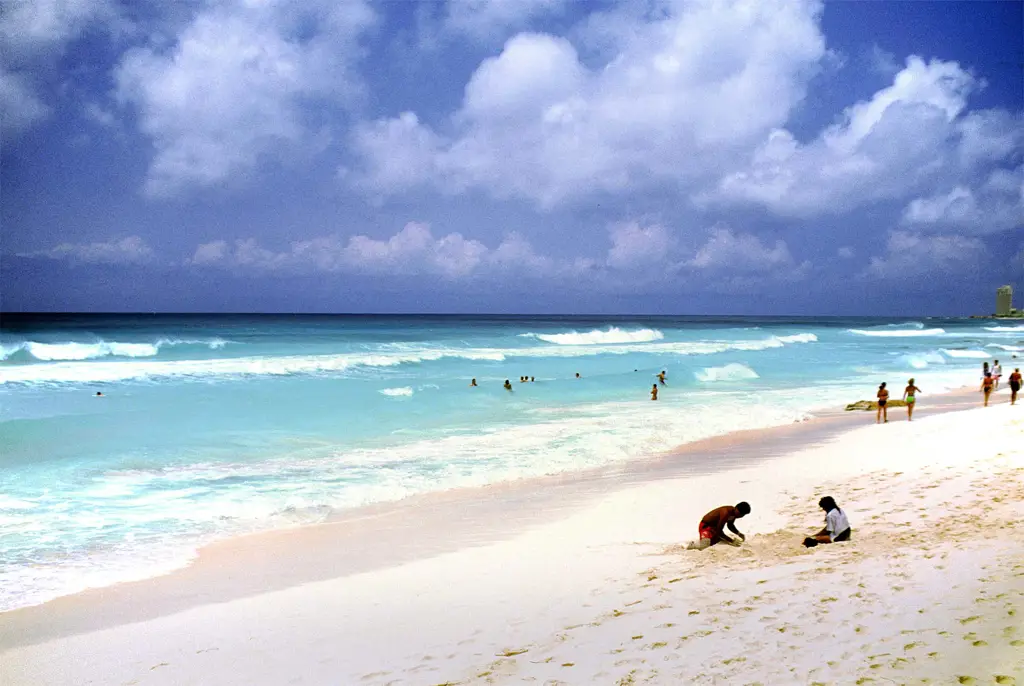 Adegan pantai musim panas yang indah