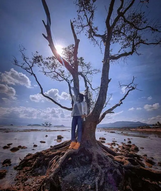 Pemandangan indah pantai di Lampung