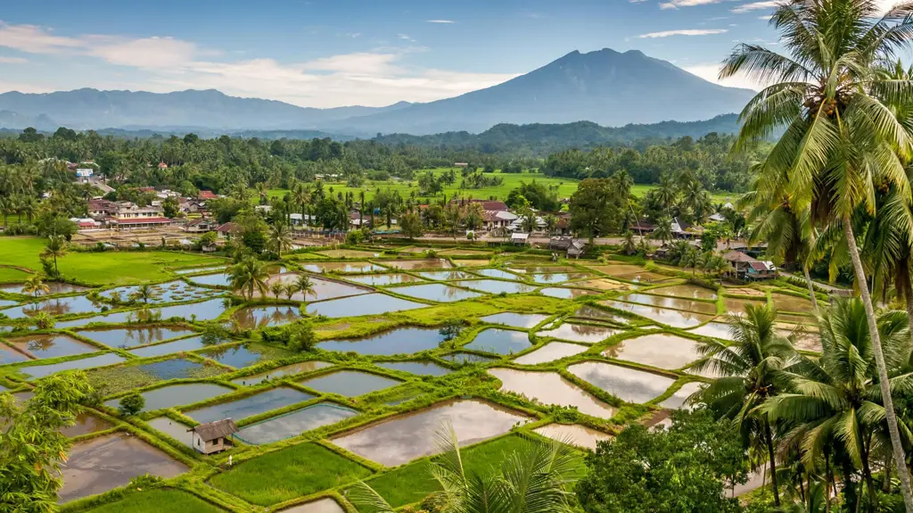 Pemandangan pedesaan yang menenangkan di Non Non Biyori