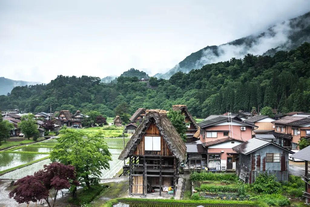 Pemandangan pedesaan Jepang yang damai