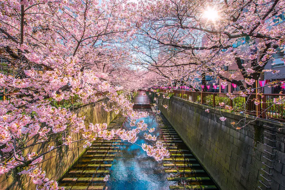 Pemandangan pedesaan Jepang yang damai