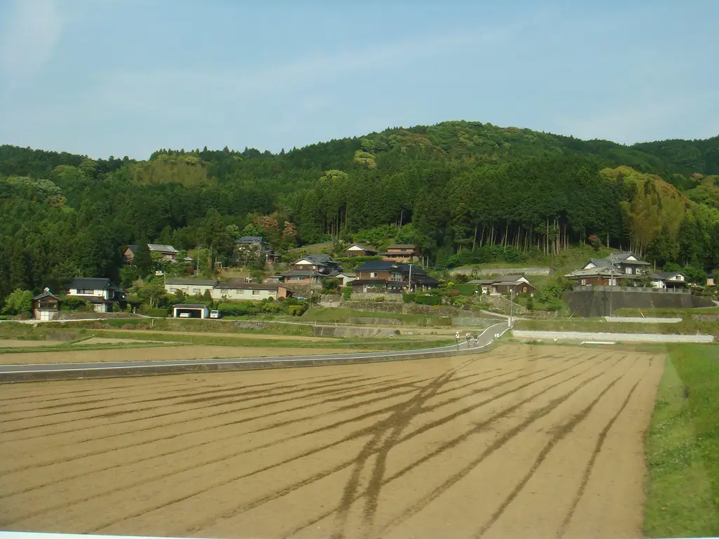 Pemandangan pedesaan Jepang yang indah dengan sawah dan peternakan