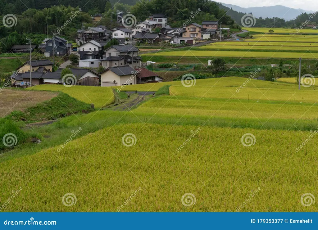 Pemandangan pedesaan Jepang yang indah dengan sawah dan peternakan