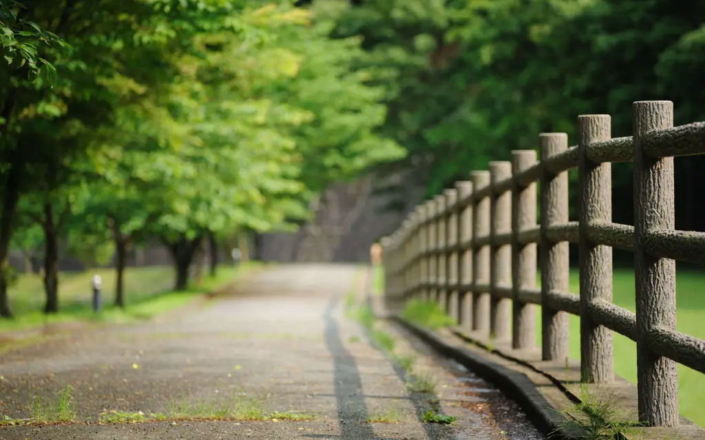 Pemandangan pedesaan Jepang yang tenang dan asri, latar tempat tinggal Hana dan anak-anaknya.