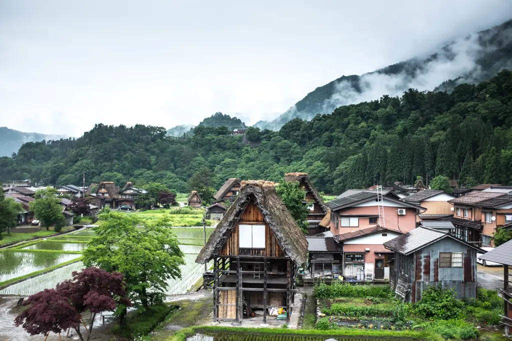 Pemandangan pedesaan Jepang yang indah