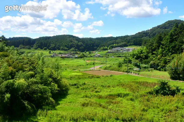 Pemandangan pedesaan Jepang yang asri