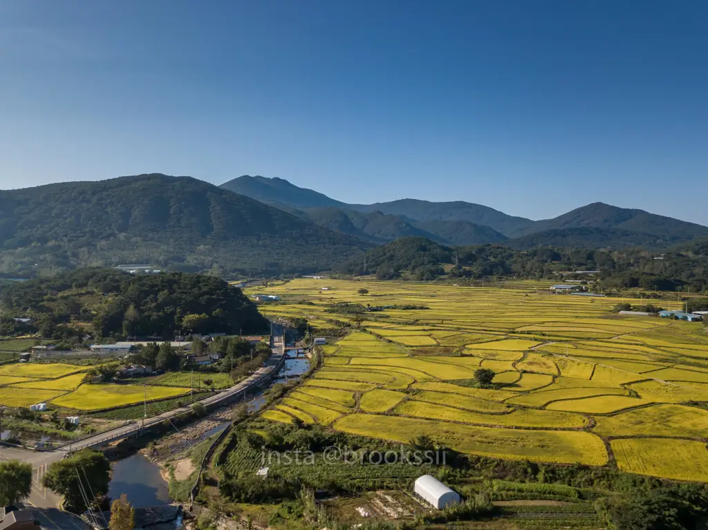 Pemandangan pedesaan Korea yang indah dan menenangkan