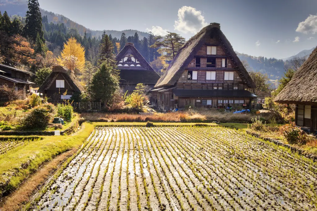 Pemandangan pedesaan Jepang yang indah