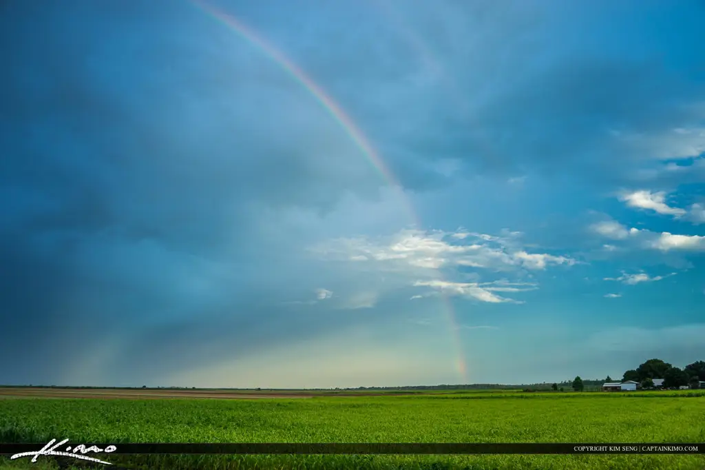 Pelangi di atas ladang