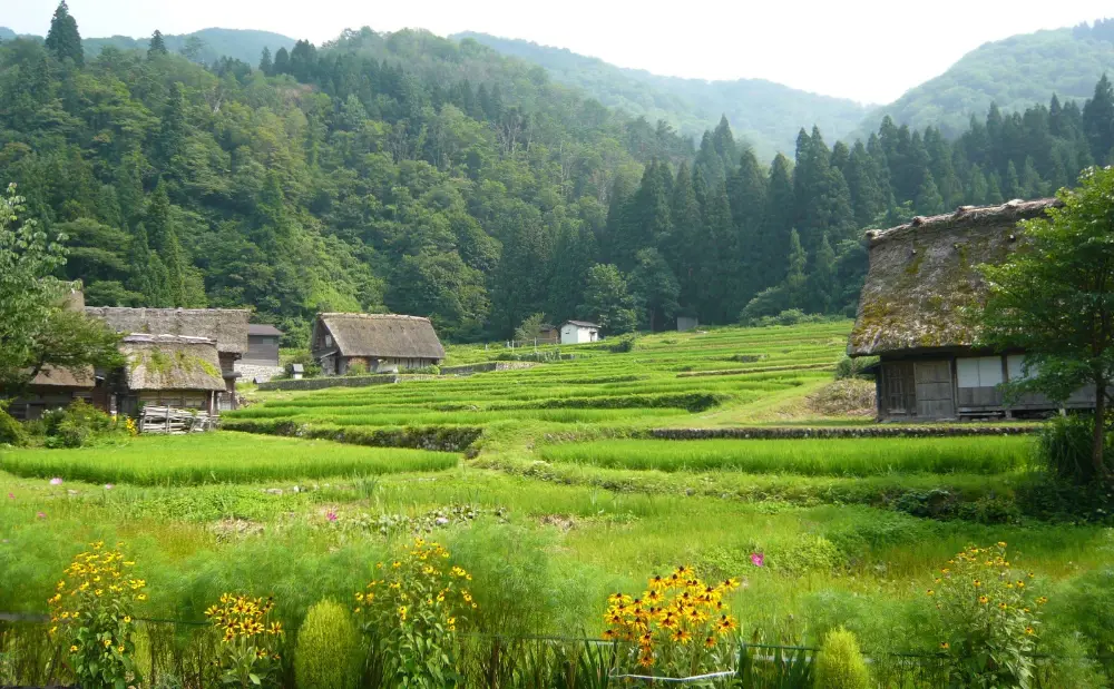 Pemandangan pedesaan Jepang yang indah