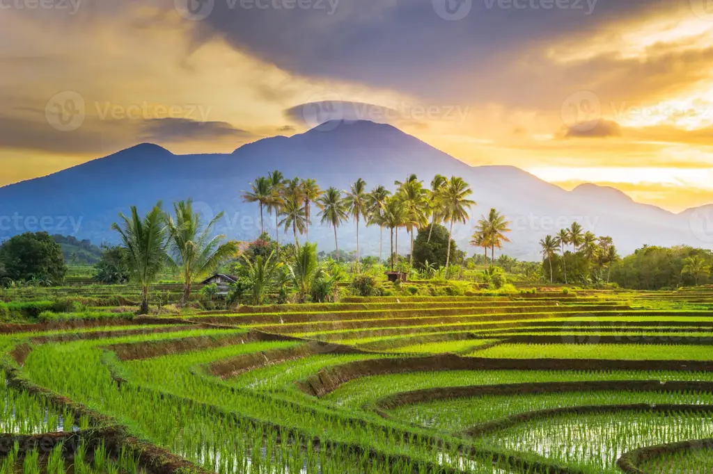 Pemandangan alam Indonesia yang indah