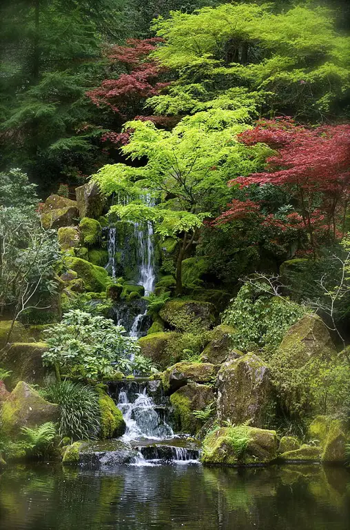 Taman Jepang yang indah dan tenang