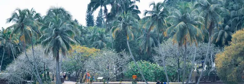 Gambar Taman Tasik Shah Alam yang menunjukkan keindahan tasik dan kawasan hijau yang luas.