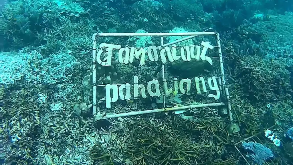 Keindahan bawah laut Pulau Pahawang