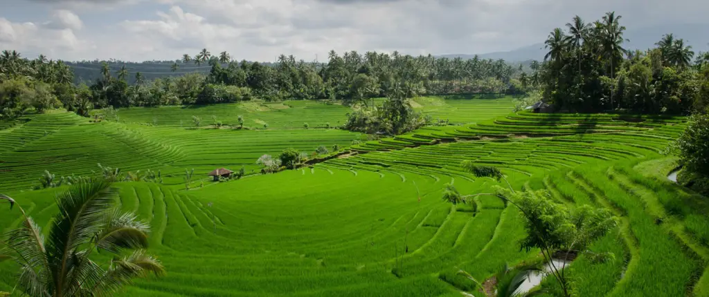 Keindahan alam Indonesia yang beragam