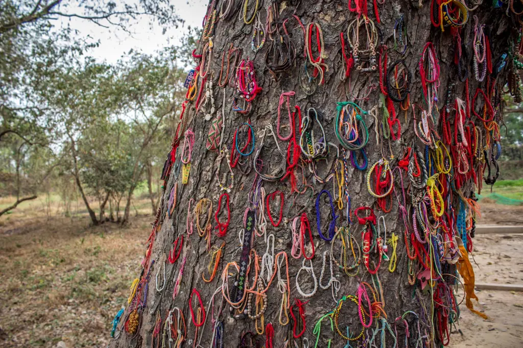 Gambar Killing Fields Kamboja