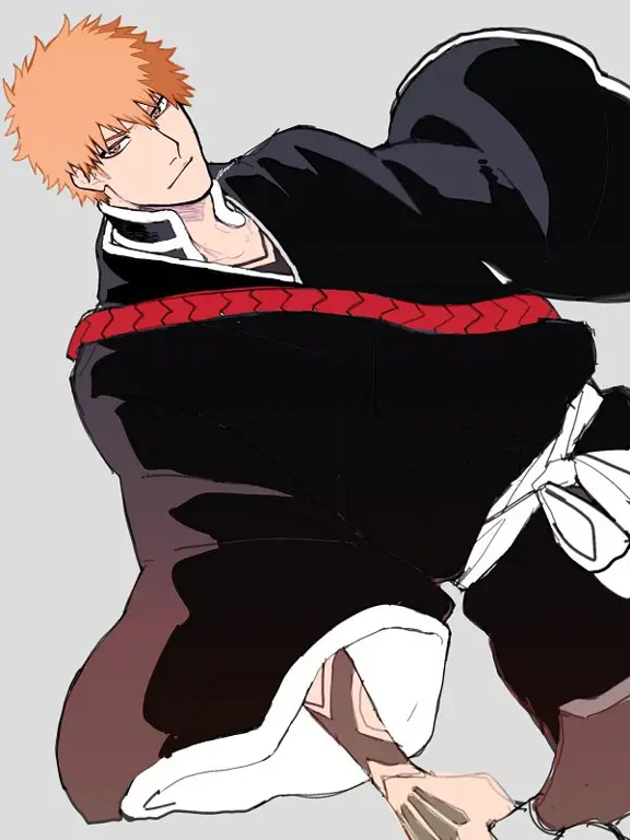 Ichigo Kurosaki dalam Bleach 271