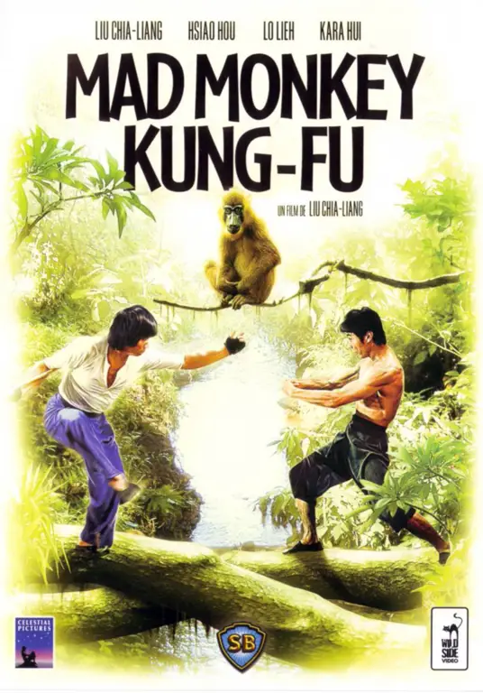 Ilustrasi gerakan Shaolin Kung Fu gaya Monyet