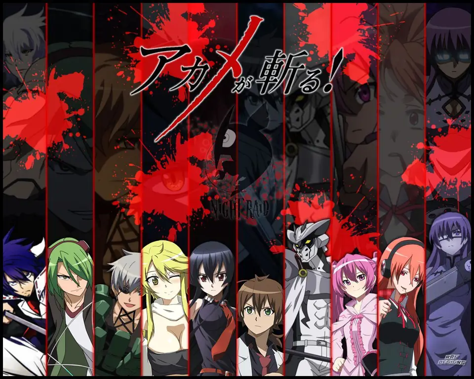 Gambar kelompok Night Raid dalam anime Akame ga Kill