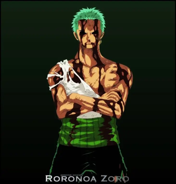 Zoro menggunakan pedangnya dengan mahir