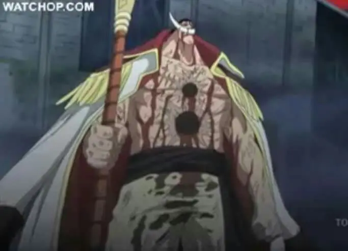 Adegan kematian Whitebeard yang emosional.